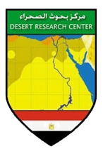 Desert Research